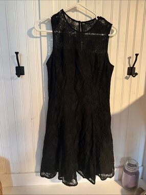 Banana Republic Black Lace Mini Dress